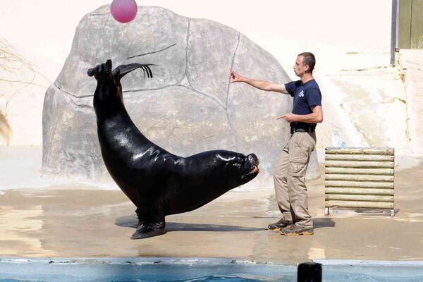Parc-Zoologique-Pont-Scorff-Morbihan-Bretagne-Sud