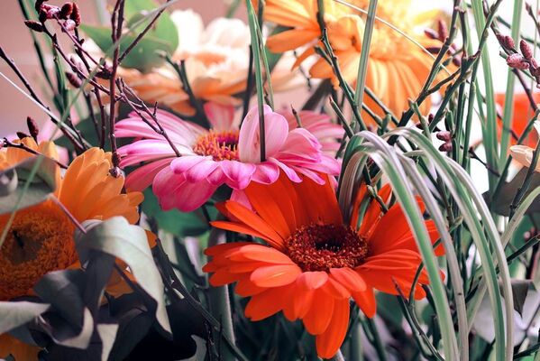 Martine Fleurs