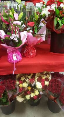 Fleurs