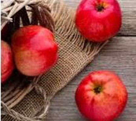 Fête de la Pomme