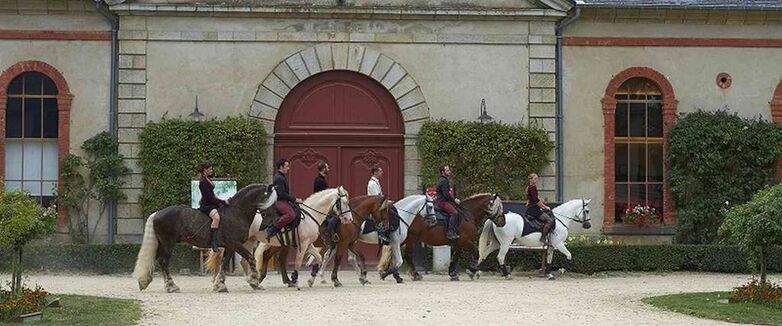Haras-Hennebont-Morbihan-Bretagne-Sud