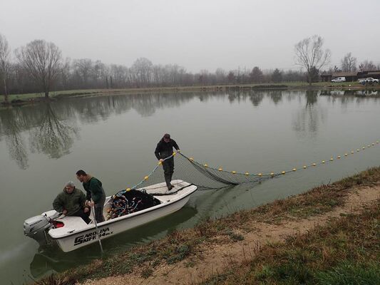 peche truite etang 63