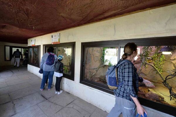 Parc-Zoologique-Pont-Scorff-Morbihan-Bretagne-Sud