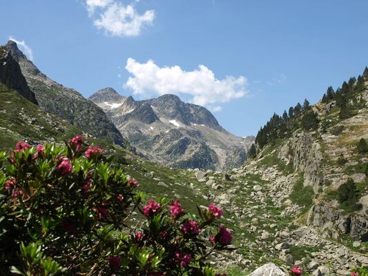 réserve d'Orlu