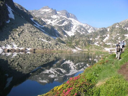 lac