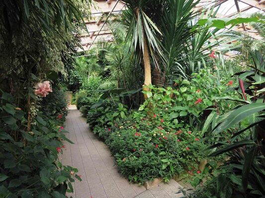 jardin-aux-papillons-morbihan-bretagne-sud