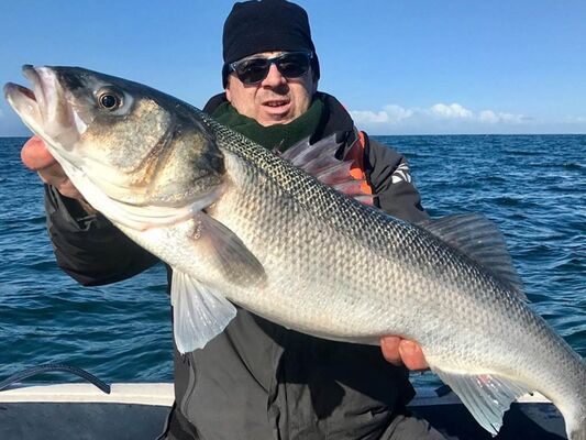 A-Fun-Fish-JC-Vincent-Plouhinec-Morbihan Bretagne Sud