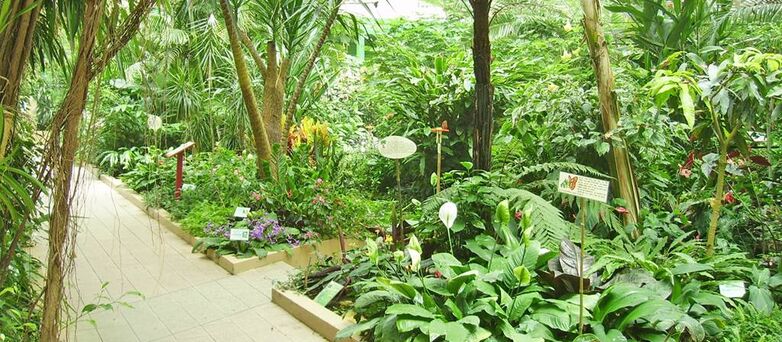 Jardin-aux-papillons-Vannes-Morbihan Bretagne Sud