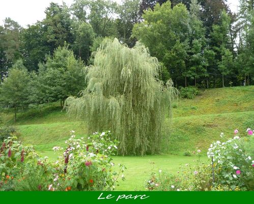 jardin