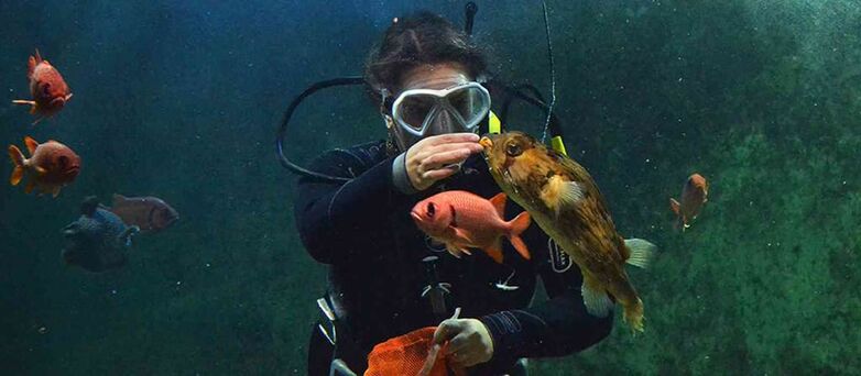 Aquarium-de-Vannes-Morbihan-Bretagne-Sud