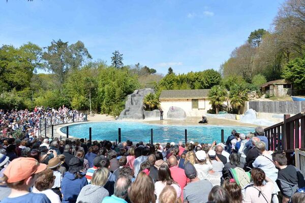 Parc-Zoologique-Pont-Scorff-Morbihan-Bretagne-Sud