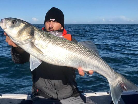 A-Fun-Fish-JC-Vincent-Plouhinec-Morbihan Bretagne Sud