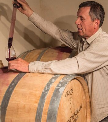 Domaine de Guillau