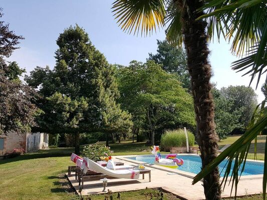 Piscine et palmiers à l'ombre d'un parc ombragé