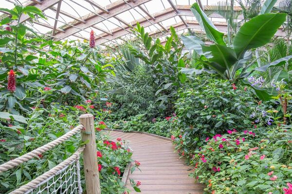 jardin-aux-papillons-morbihan-bretagne-sud-30