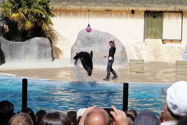 Parc-Zoologique-Pont-Scorff-Morbihan-Bretagne-Sud