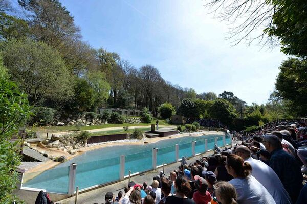 Parc-Zoologique-Pont-Scorff-Morbihan-Bretagne-Sud