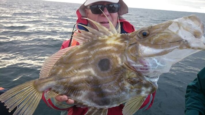 A-Fun-Fish-JC-Vincent-Plouhinec-Morbihan Bretagne Sud