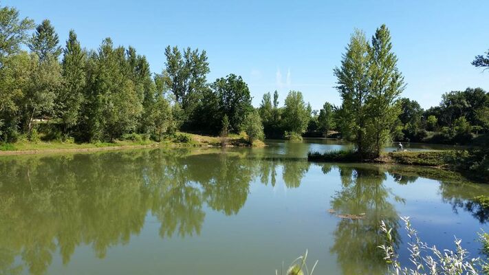 Concours de pêche