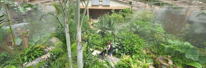 jardin-aux-papillons-morbihan-bretagne-sud-09