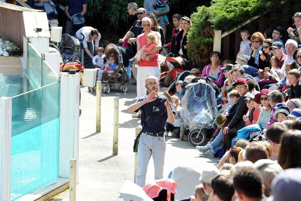 Parc-Zoologique-Pont-Scorff-Morbihan-Bretagne-Sud