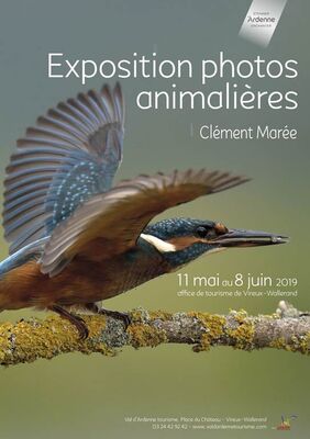 Photographies animalières
