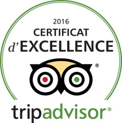 logo excellence tripadvisor 2016