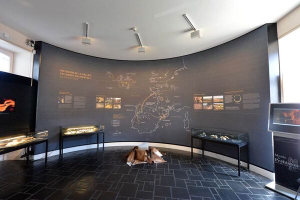 Musée de préhistoire-Carnac-Morbihan Bretagne sud-05