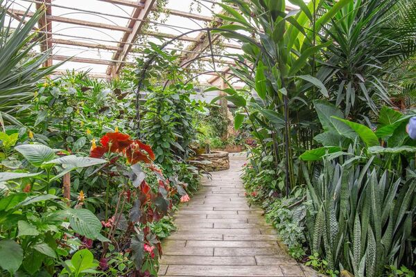 jardin-aux-papillons-morbihan-bretagne-sud-29