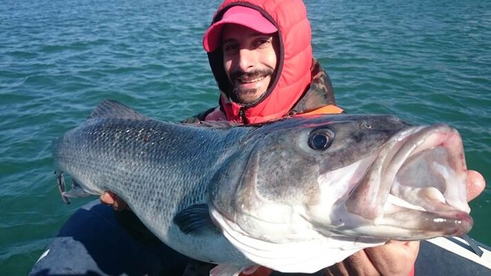 A-Fun-Fish-JC-Vincent-Plouhinec-Morbihan Bretagne Sud
