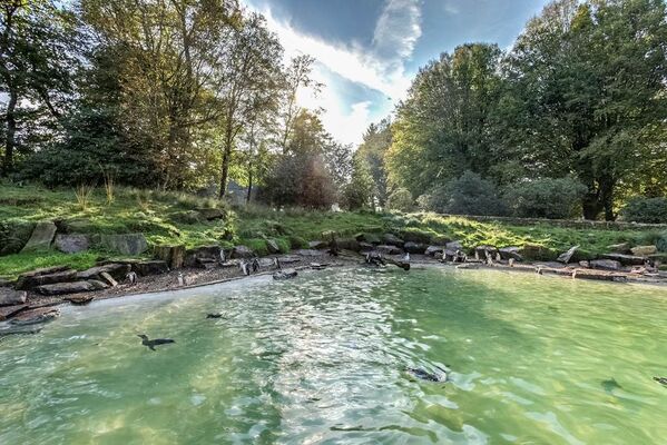 Branfere-Le-Guerno-Morbihan-Bretagne-Sud