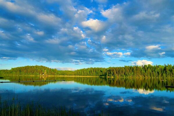 Nature