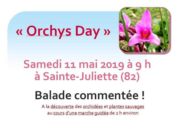 orchys day