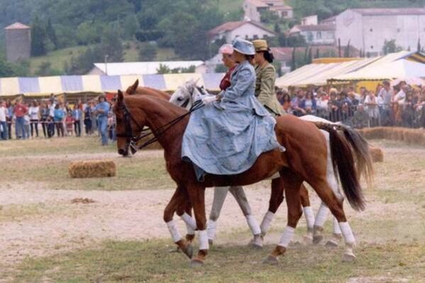 Centre équestre&poney club