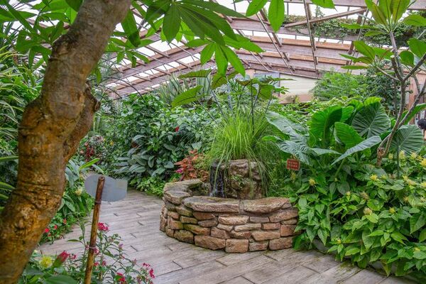 jardin-aux-papillons-morbihan-bretagne-sud-28