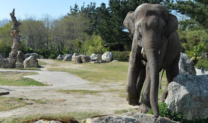 Parc-Zoologique-Pont-Scorff-Morbihan-Bretagne-Sud