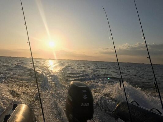 A-Fun-Fish-JC-Vincent-Plouhinec-Morbihan Bretagne Sud
