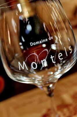 DOMAINE MONTELS