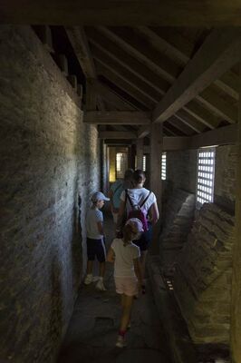 Domaine de Suscinio - Sarzeau - Morbihan - Bretagne Sud