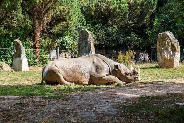 Parc-Zoologique-Pont-Scorff-Morbihan-Bretagne-Sud-09