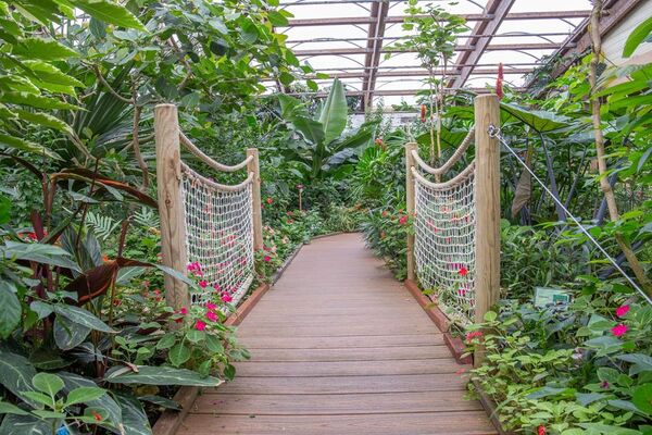 jardin-aux-papillons-morbihan-bretagne-sud-31