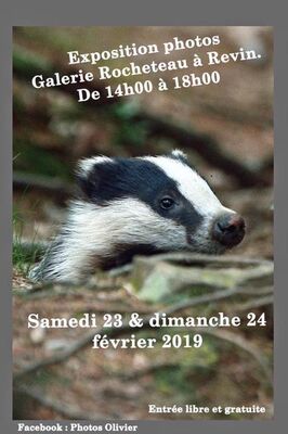 Photos animalières