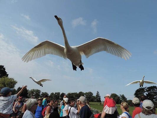 Branfere-Le-Guerno-Morbihan-Bretagne-Sud