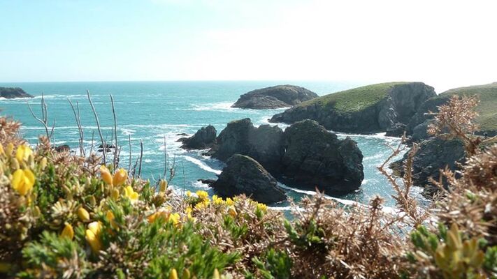Cars-Bleus-Morbihan-Bretagne-Sud