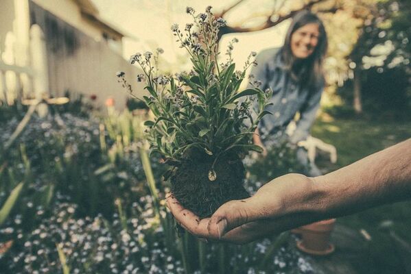 Bourse aux plantes
