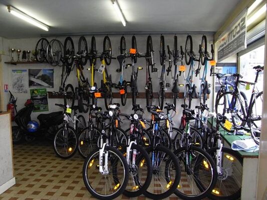 cycles cordier