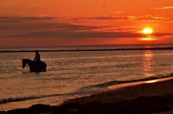 PLAGE3