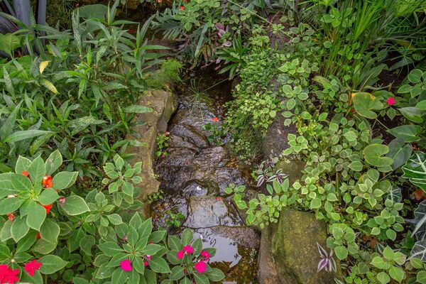 jardin-aux-papillons-morbihan-bretagne-sud-32