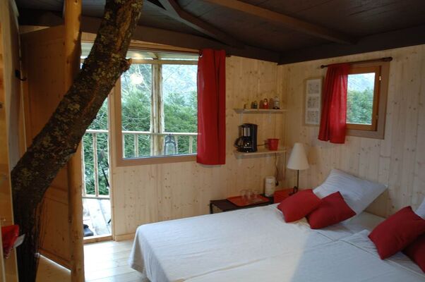 Cabane dans l'arbre