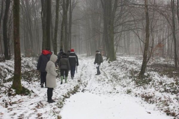 Découverte de la forêt en hiver